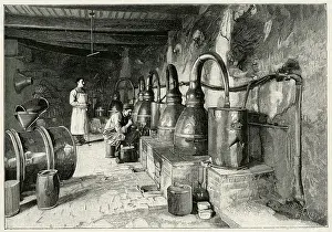 Grasse: Perfume Manufacture - 1898