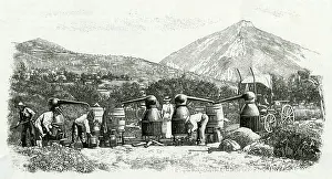 Castellane: PERFUME MANUFACTURE 1898