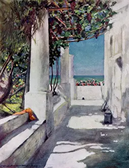 Pergola: Pergola, Capri, Naples, Italy