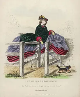 Confronted: Perils of Crinolines No4
