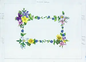 Periwinkle: Periwinkle, dog violet, herb robert, daisy etc