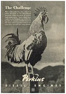 F.perkins: Perkins Diesel Engines