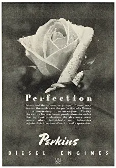 F.perkins: Perkins Diesel Engines