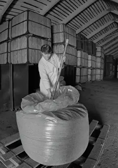 Containers: Perm Agricultural Experimental Station