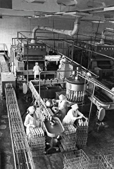 Zagulyayev: Perm milk plant, 1987