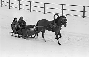 Galloping: Perm stud farm