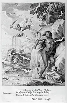 Translator: Perseus rescues Andromeda. Engraving from Tableaux