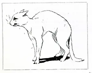 Wain: Persian Cat, by Louis Wain