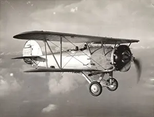 Audax: Persian Hawker Audax