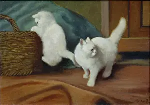 Heyer: Persian Kittens ' two white kittens