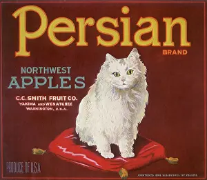 Picturpic: Persian Northwest Apples