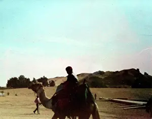 The British Caribbean History Collection: Person on a camel in Oman