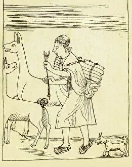 Incas: Peruvian Herder, 17th Century