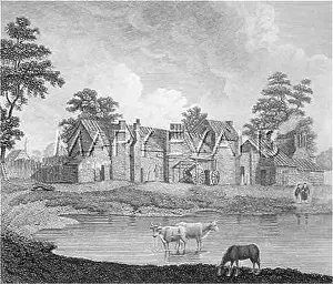 Tothill: PEST HOUSES/C18