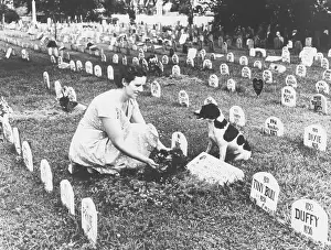 Sentimentality: Pet cemetery where more than 3, 000 animals, including