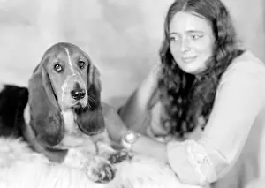 Bracket: Pet Dog called Bracket