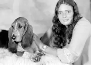 Bracket: Pet Dog called Bracket