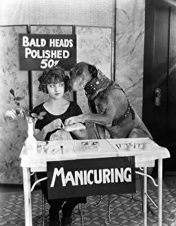 Manicurist: Pet pedicure
