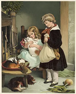 C1860: PET RABBITS C1860
