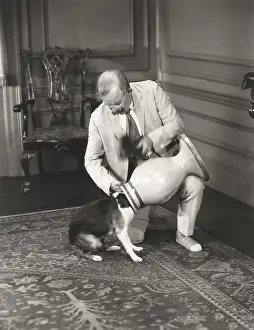 Immovable: Pet trick gone astray