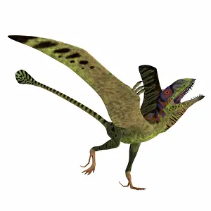 Menacing: Peteinosaurus reptile mating display