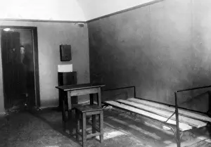 Anarchist: Peter Alexeievich Kropotkin