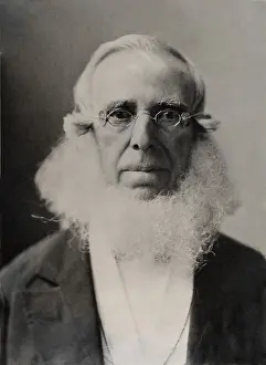 Capitalists: Peter Cooper, was the presidential nominee