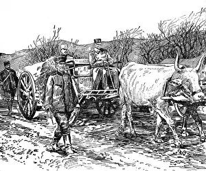 Croats: Peter I, King of the Serbs