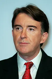 Mandelson: Peter Mandelson MP