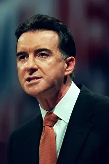 Mandelson: Peter Mandelson MP