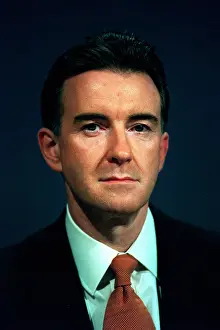 Mandelson: Peter Mandelson MP