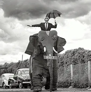 Mechanical: Peter Sellers