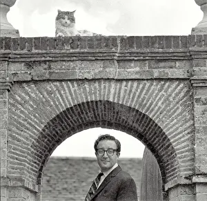 Enigmatic: Peter Sellers