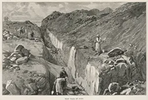 Flinders: PETRIE AT DAPHNE