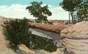 Chasm: Petrified Log Bridge