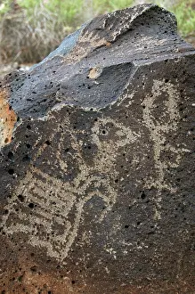 Pictogram: Petroglyph National Monument. Petroglyphs. New Mexico. USA