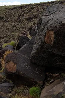 Pictogram: Petroglyph National Monument. Petroglyphs. New Mexico. USA