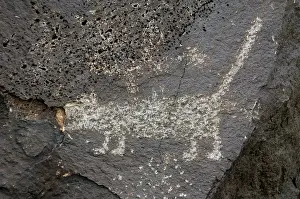 Pictogram: Petroglyph National Monument. Petroglyphs. New Mexico. USA