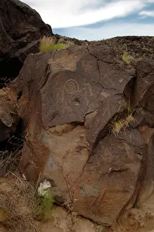 Pictogram: Petroglyph National Monument. Petroglyphs. New Mexico. USA