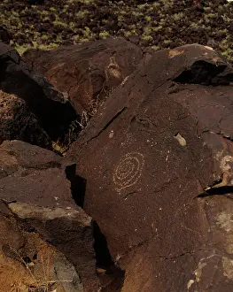 Pictogram: Petroglyph National Monument. Petroglyphs. New Mexico. USA