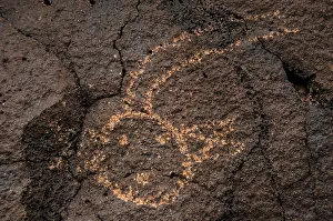 Pictogram: Petroglyph National Monument. Petroglyphs. New Mexico. USA