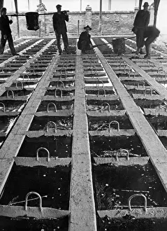 Romana: Petroleum extraction in Romania, 1935