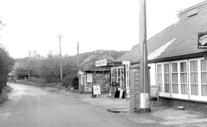 Pett: Pett Level, the Market Stores c1955