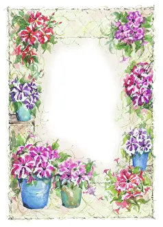 Horlock: Petunias Border design