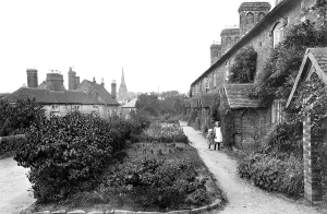 Petworth: Petworth, Percy Terrace 1912