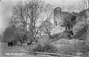 Pevensey: Pevensey Castle