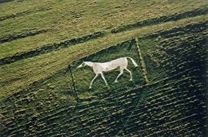 Lucy Pringle: PEWSEY WHITE HORSE