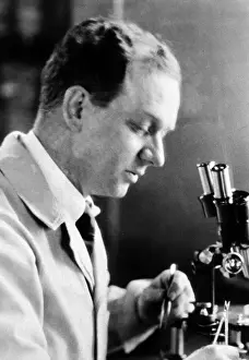 Virus: Peyton Rous, American Virologist