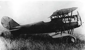 Pfalz: Pfalz D XV