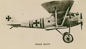 Pfalz: Pfalz DIII